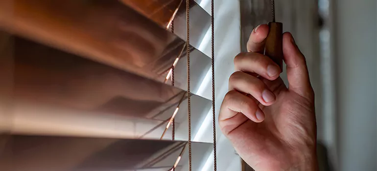 Double Roller Blinds in West Melbourne, FL